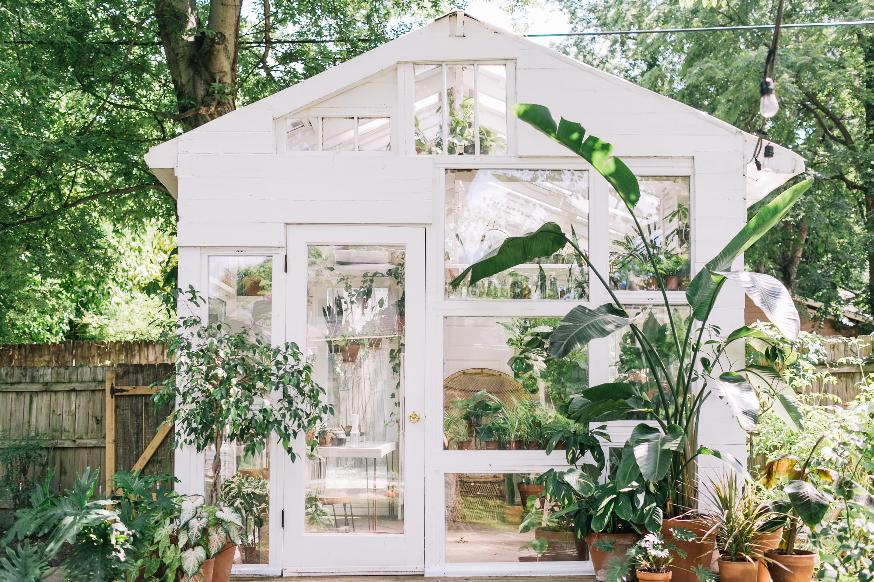 Renovated Nashville Home With DIY Backyard Greenhouse | Apartment Therapy
